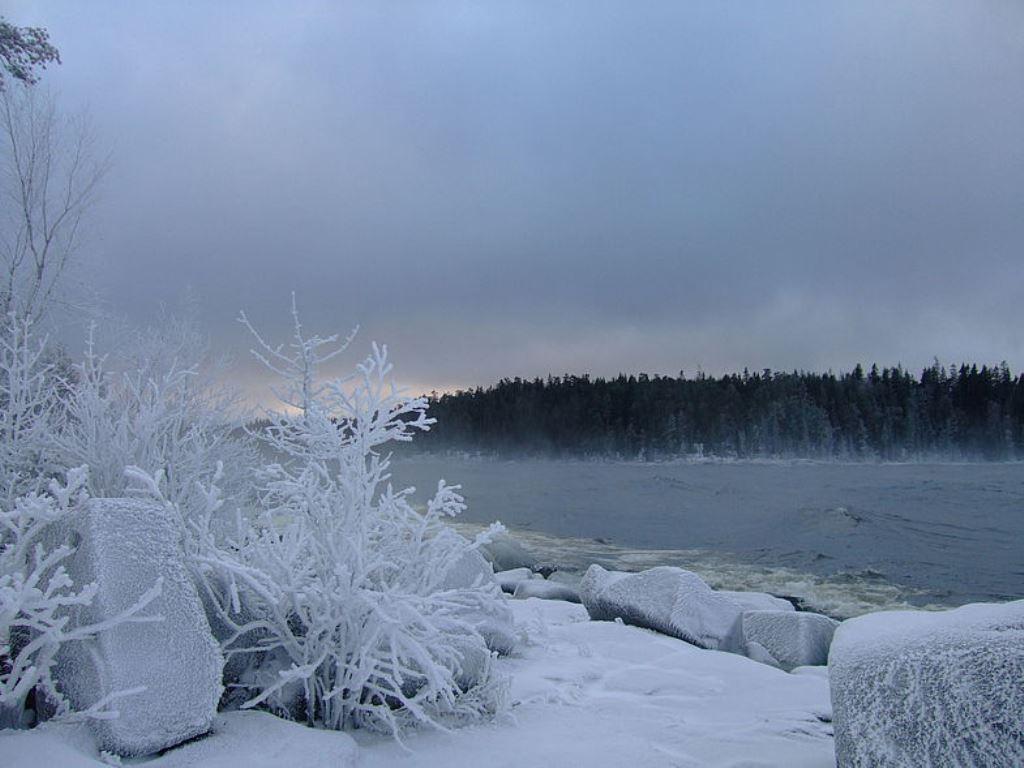 Берег озера зимой. Петровичева Ладожское озеро зимой. Карелия Ладожское озеро зима. Карелия зимой. Кемь Карелия зима.